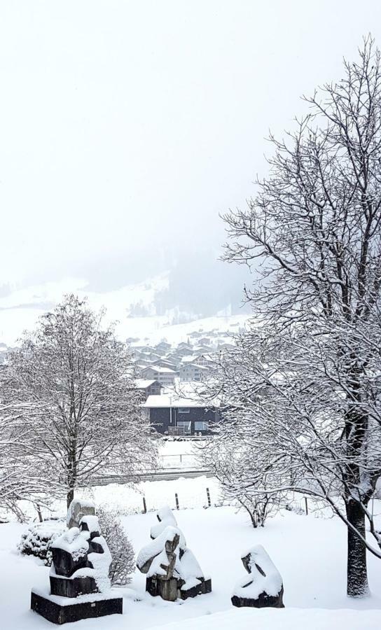 Ferienhaus Lungern See-You Esterno foto